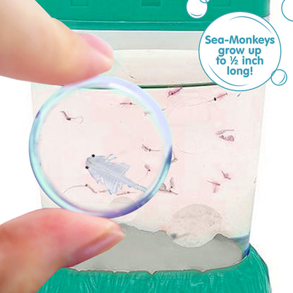 Fingers holding a small magnifying glass up to the aquarium. One magnified Sea-Monkey is visble. There is a callout in a circle that reads "Sea-Monkeys grow up to 1/2 inch long!"