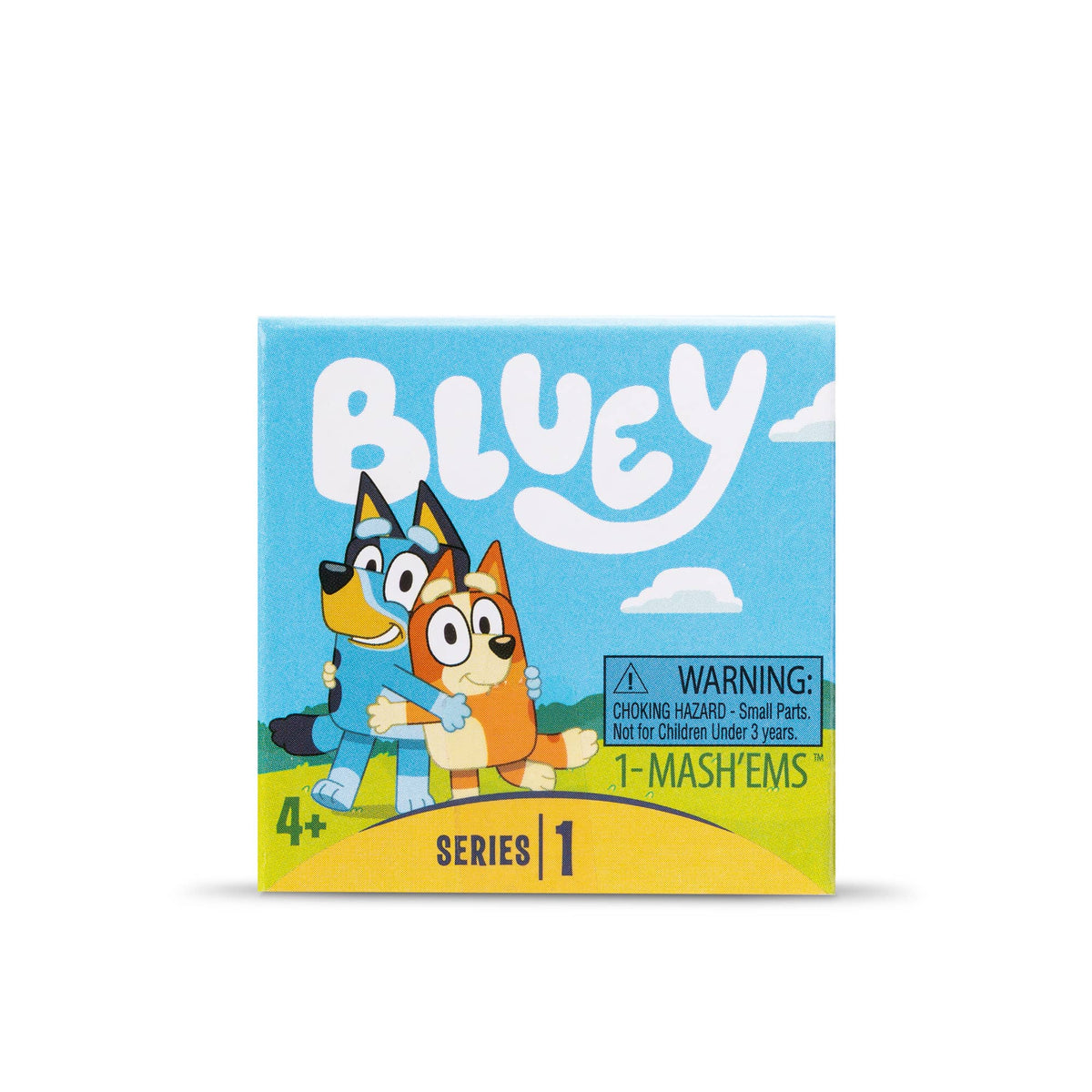 Mashems Bluey Package