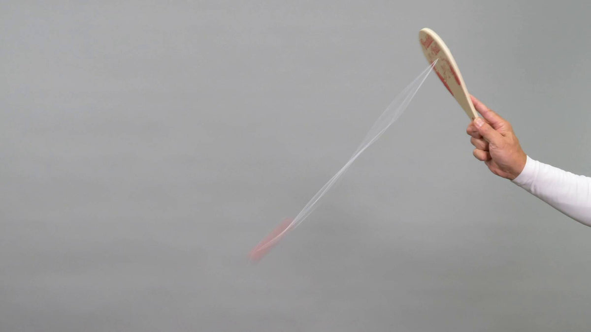 Wooden paddle and ball game video