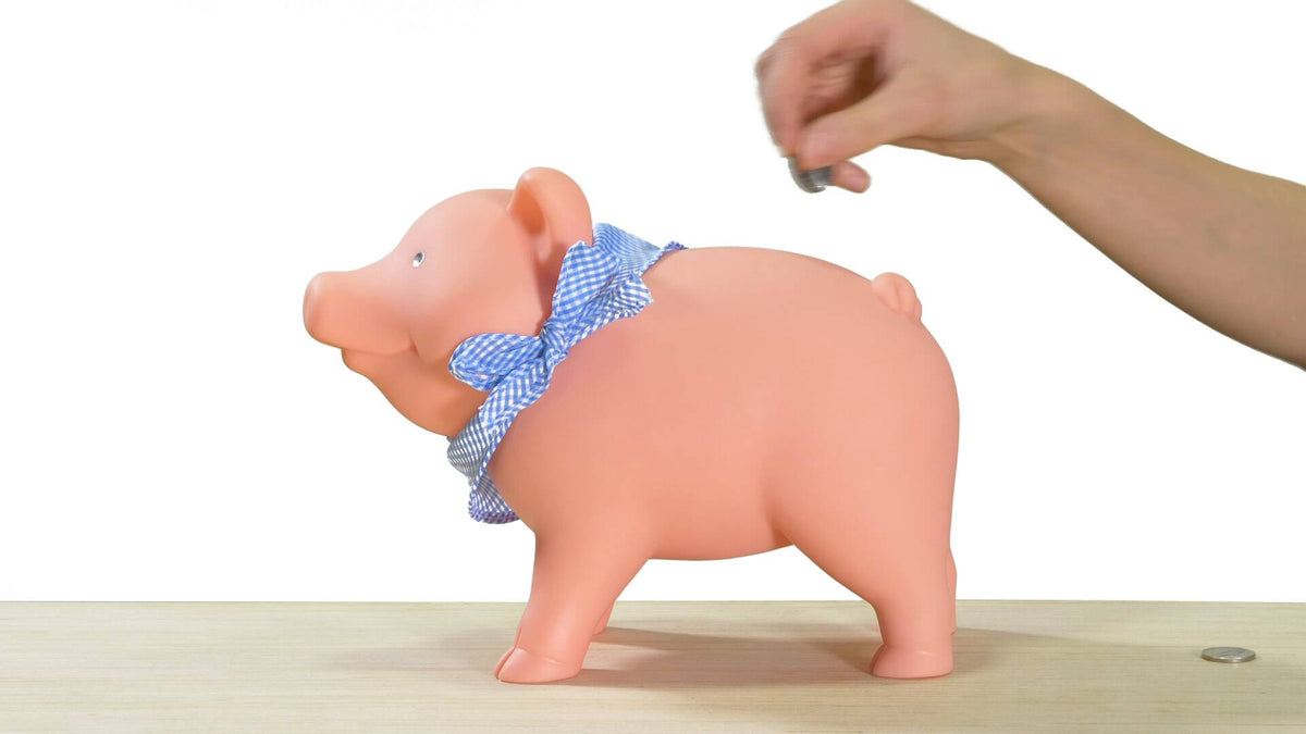 Rubber piggy bank video